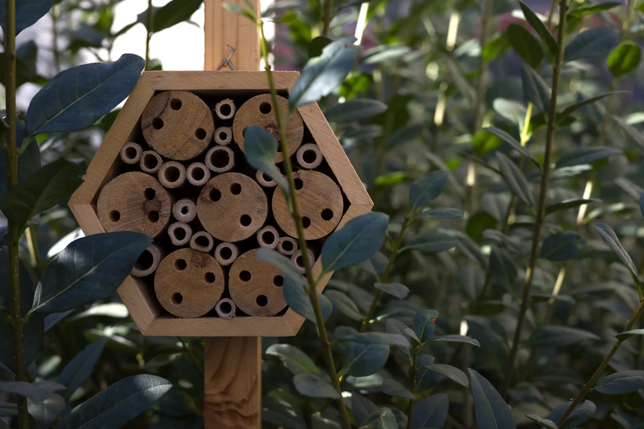 Hero background image