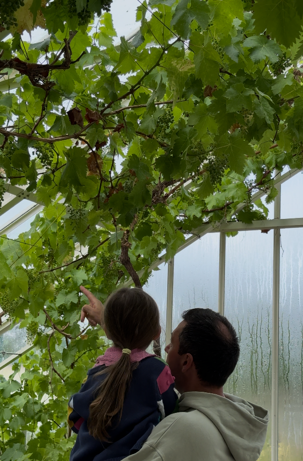 Heritage Restoration