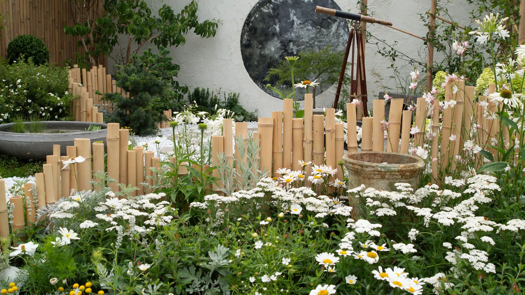 Beautiful sensory garden with bamboo and white flowers