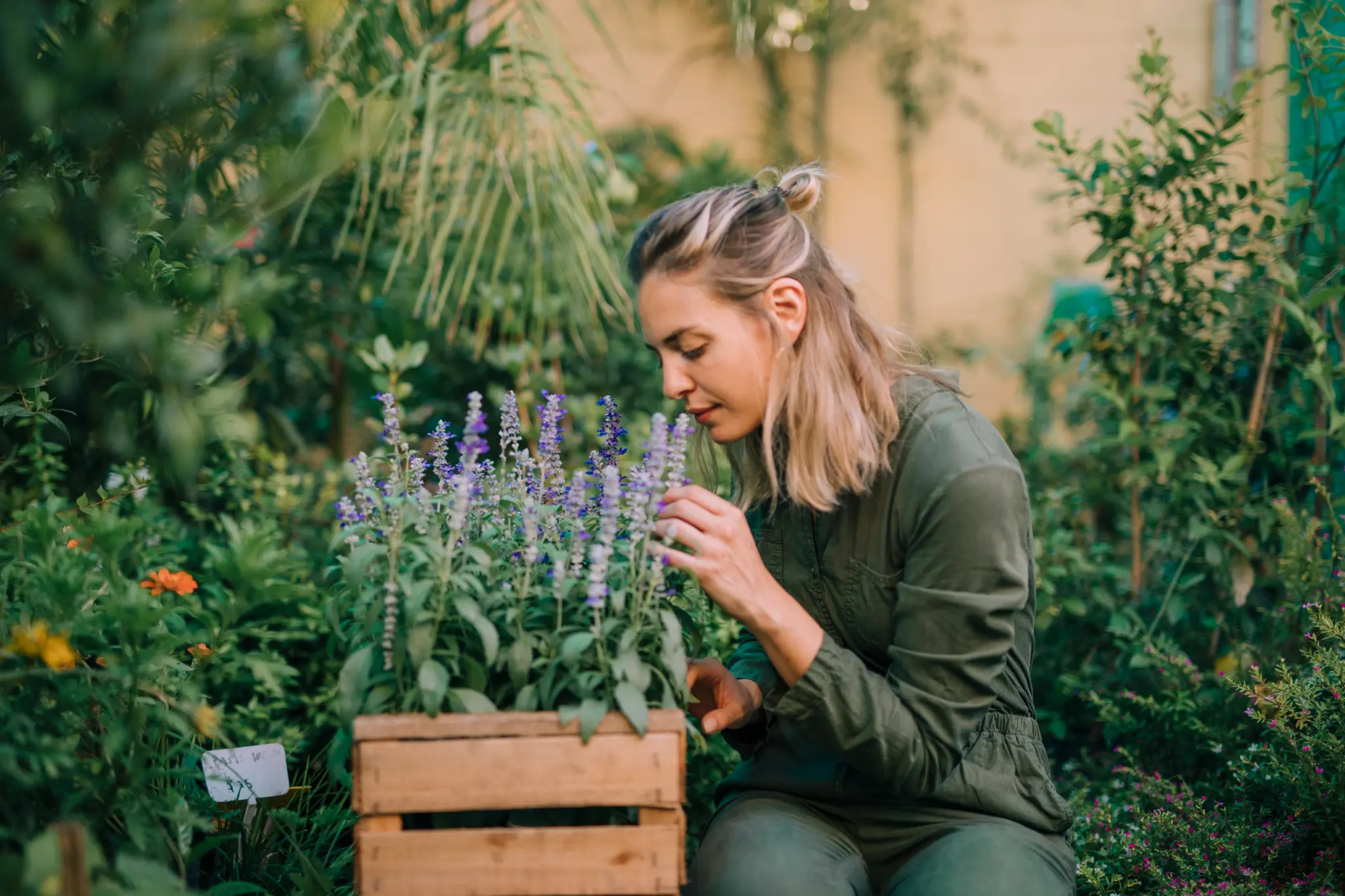 Young woman smelling lavender flowers