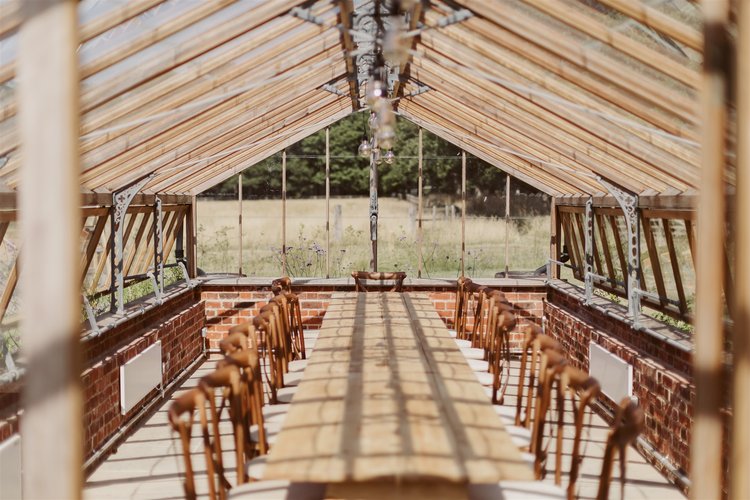Therapy dog visit in the garden